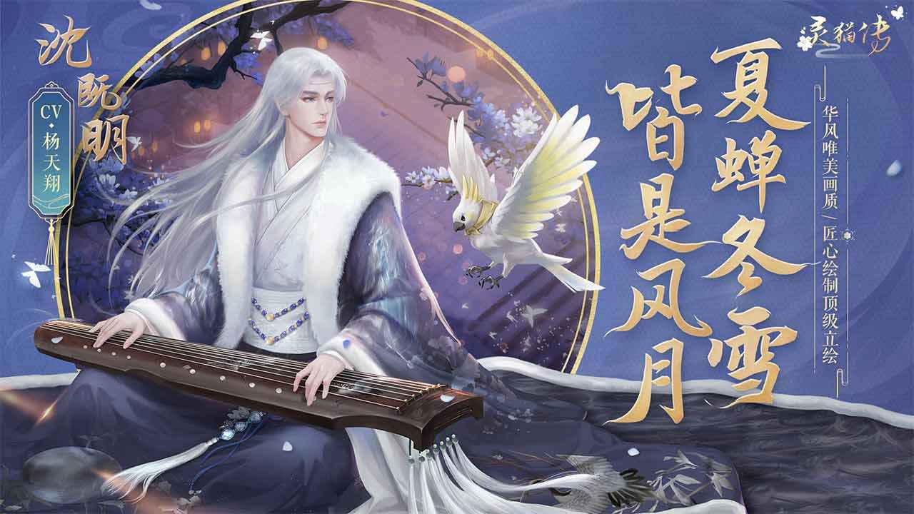 灵猫传测试服