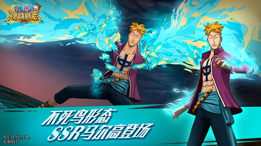 海贼王：燃烧意志