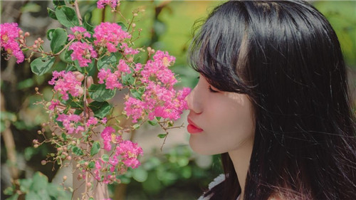 芭乐草莓视频向日葵幸福宝