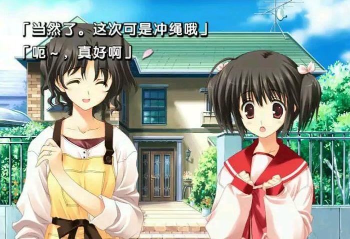 ons模拟器8.0最新版
