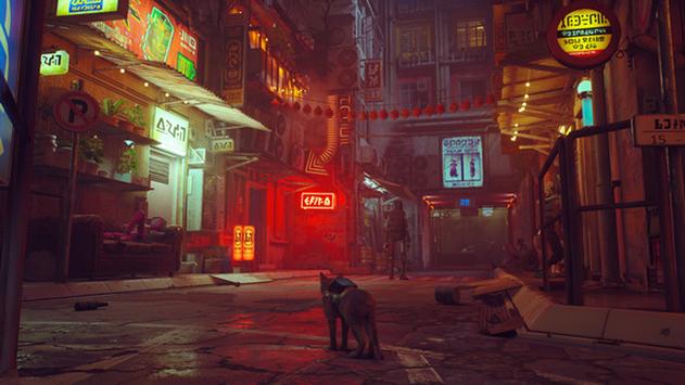 一只走失的猫咪STRAY