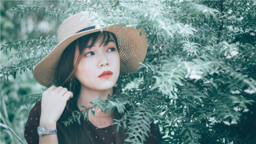樱花免费APP