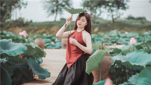 柑橘直播app