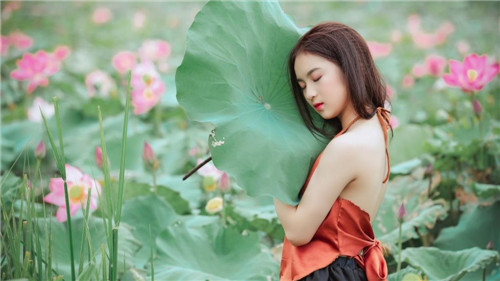 花季传媒v3.064版本