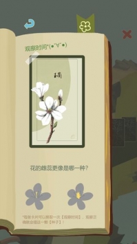 老农种树2021
