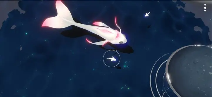 鲤重制版