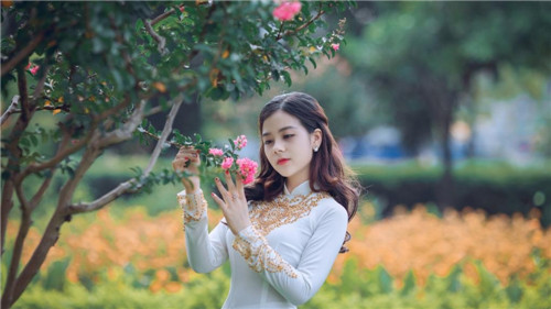 蒲公英研究所免费进入
