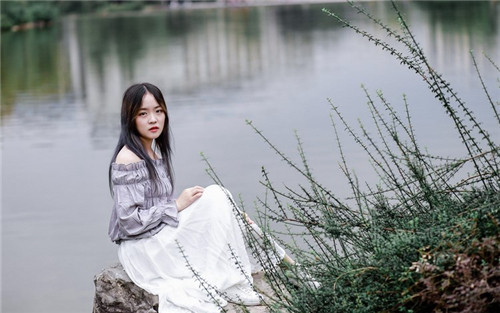 绿茶直播手机版