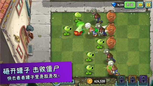 植物大战僵尸暑假版
