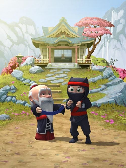 笨拙的忍者最新版2021